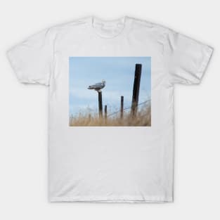 Snowy Owl T-Shirt